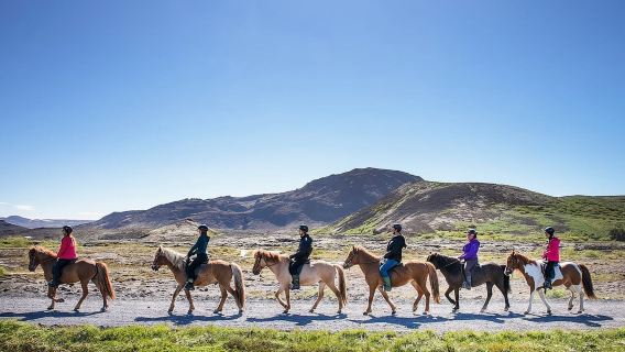 Icelandic Horseback Riding Tour with pickup option from Reykjavik