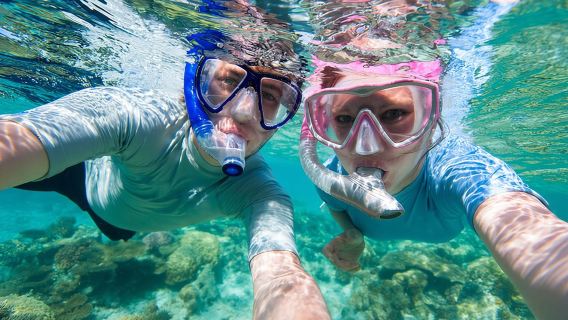 Rincon Snorkeling Adventure