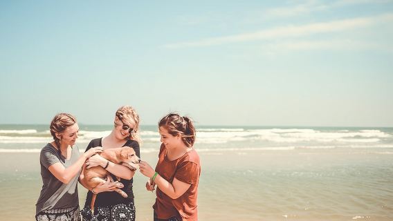 Visita de un día de Rescue P.A.W.S.