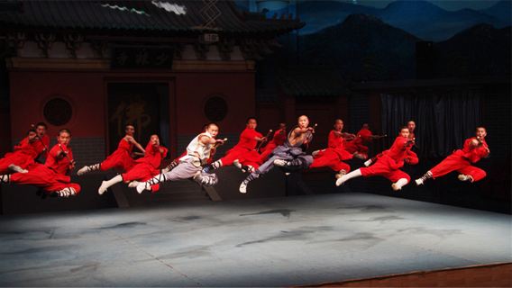 Tour privato di un giorno al Tempio Shaolin di Luoyang, alle Grotte di Longmen, al Museo di Luoyang e al Giardino delle Peonie (più itinerari + autista professionista)