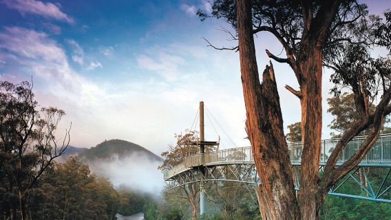 ทัวร์วันเดียว/ทัวร์หลายวัน ไปยัง Huon Gorge ในรัฐแทสเมเนีย ประเทศออสเตรเลีย