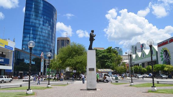 Trinidad Northern Eco-Cultural Full-Day Highlights Tour from Port of Spain