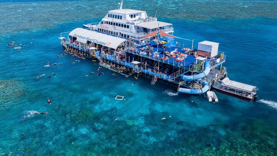 Cruceros Sunlover Reef: Experiencia en la Gran Barrera de Coral desde Cairns