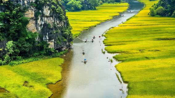 Tour Ninh Bình - Hoa Lư - Hang Múa - Tam Cốc 1 Ngày