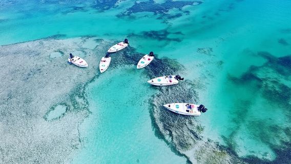 Key West Safari Öko-Sandbank-Tour-Abenteuer mit Schnorcheln