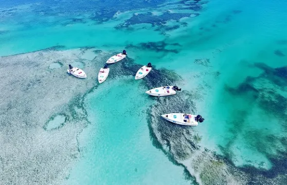 基韋斯特野生動物園生態沙洲之旅（含浮潛）
