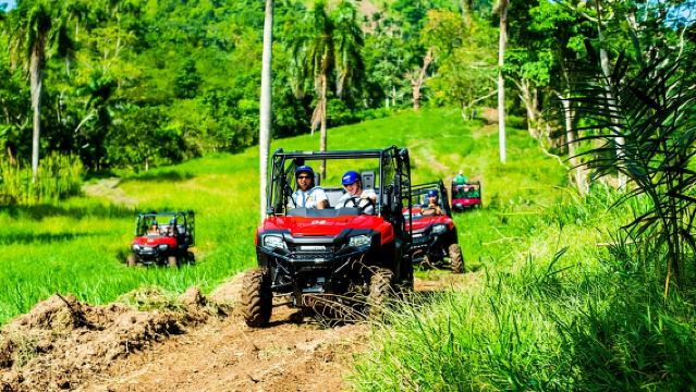 Jungle Buggies + Ziplines Adventures