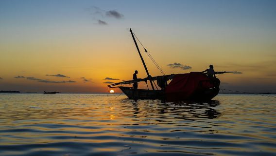 Sunset Dhow Cruise from The Mora Zanzibar