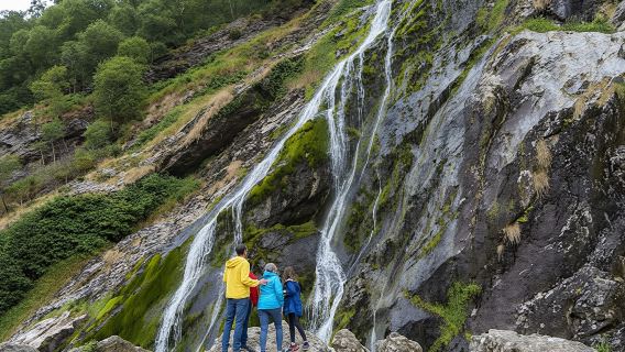 Wicklow, Glendalough, air terjun dan demonstrasi anjing gembala