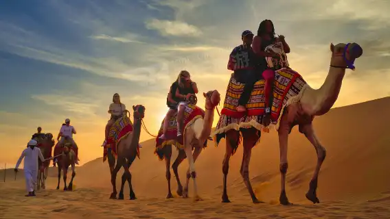 【Al Khayama阿卡雅瑪海瑪空調營地】騎駱駝餵駱駝滑沙三國自助晚餐表演觀星/晨間/下午沖沙/帳篷過夜可選