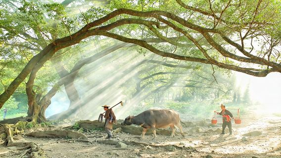 霞浦（東線）攝影者的天堂+楊家溪+小皓灘塗+東壁村+北岐灘塗
