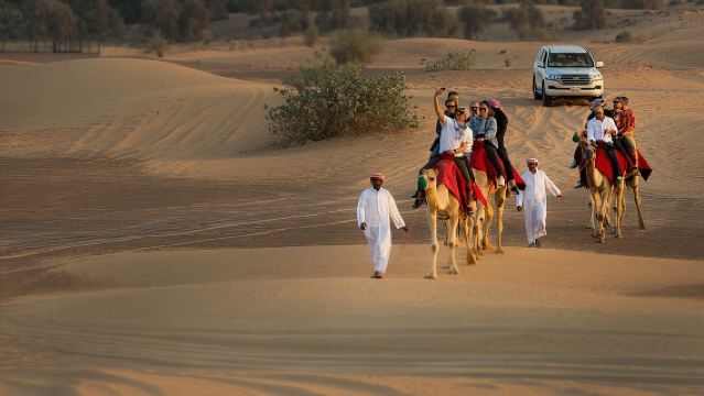 Kameeltrekking bij zonsondergang, valkenshow en VIP-barbecuediner