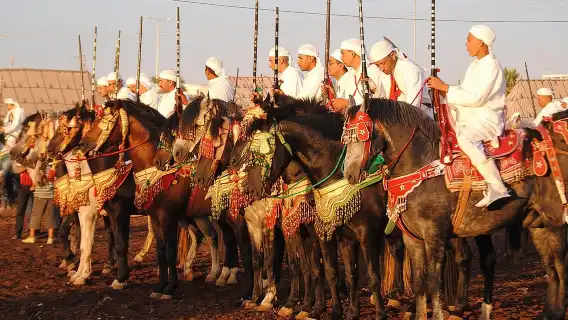 Skip The Line At Chez Ali Marrakech Fantasia Show