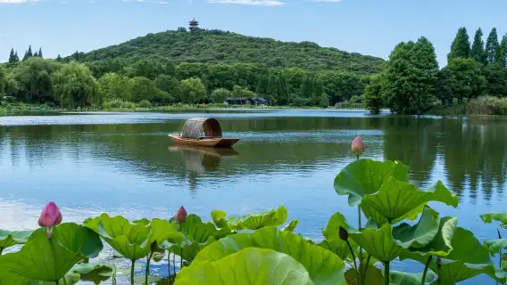 無錫靈山勝境+黿頭渚一日遊【觀紅嘴鷗&純玩含門票&贈冰箱貼】