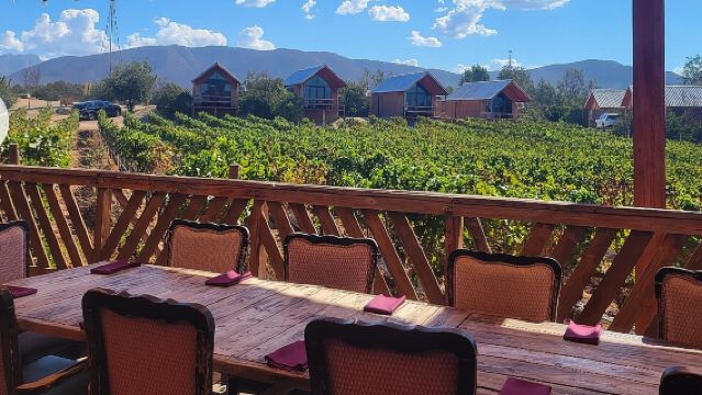 ATV Off-Road Adventure through Valle de Guadalupe + Winery Visit