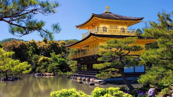 日本滋賀：比叡山+舊竹林院庭園+金閣寺+龍安寺【楓葉季賞楓】