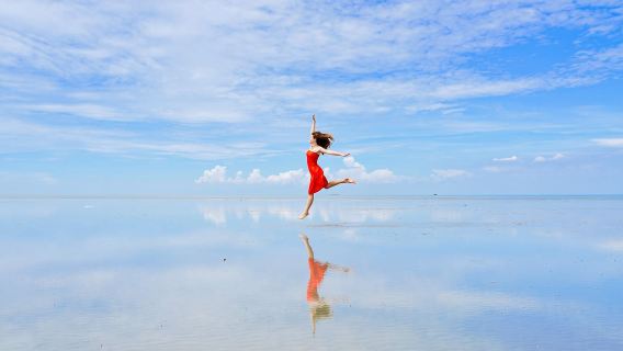 Kuala Lumpur Sky Mirror + Monkey Hill + Eagle Feeding + Fireflies + Blue Tears – Private Eco Adventure Tour