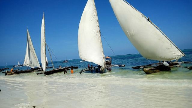 Tour de día completo por la isla Mnemba, Nungwi y la playa Kendwa en Zanzíbar