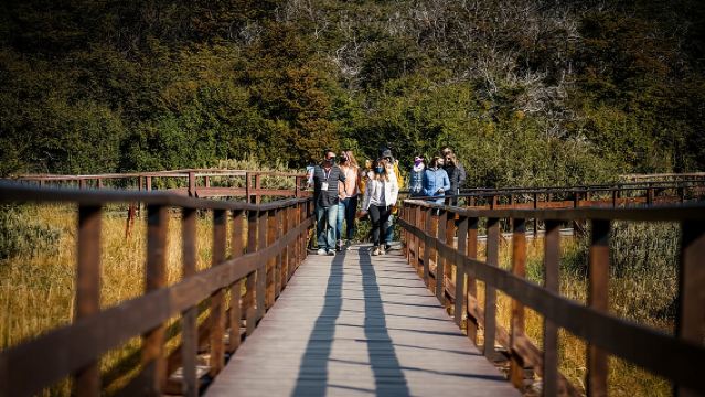 อุทยานแห่งชาติเตียร์ราเดลฟวยโกครึ่งวัน