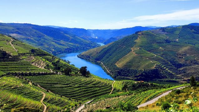 TOURS POR EL DOURO - Tour Premium