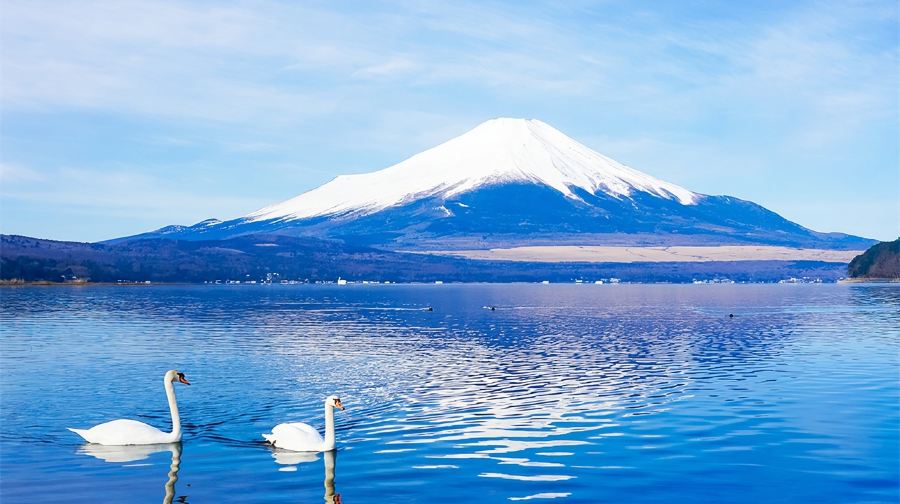 箱根大涌谷與山中湖一日遊，贈箱根空中纜車，可選9人小團接送