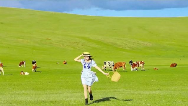 Hohhot Xilamuren Prairie 1-day tour | Pure play no shopping | Horseback riding | Hand-pulled lamb |