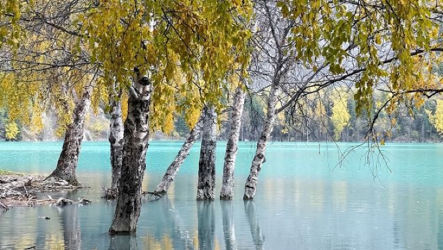Excursión al lago Issyk con la cascada de Turgen (del Oso)