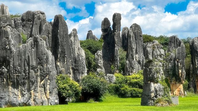 石林風景區+雲南省博物館包車一日遊：含門票+省博2小時講解