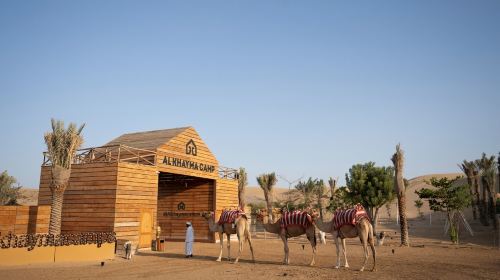 Dubai: Adventure Quad Bike Safari, Camel Ride with Live BBQ Dinner Day Tours 7