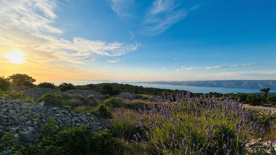 Hvar: Tour zu den verborgenen Schätzen