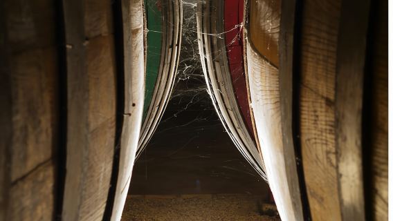 Desde Nápoles: Ruta del vino por Irpinia con 6 catas