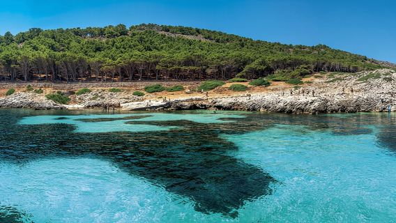 From Trapani: Egadi Islands Day Tour by Boat