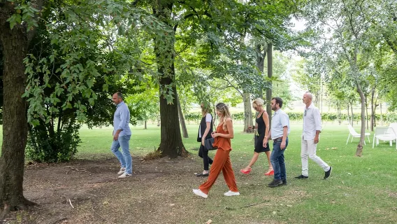 Lazise: Weinbergtour und Bio-Weinprobe