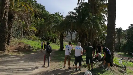 Gran Canaria: Camel Ride at Camel Safari Park