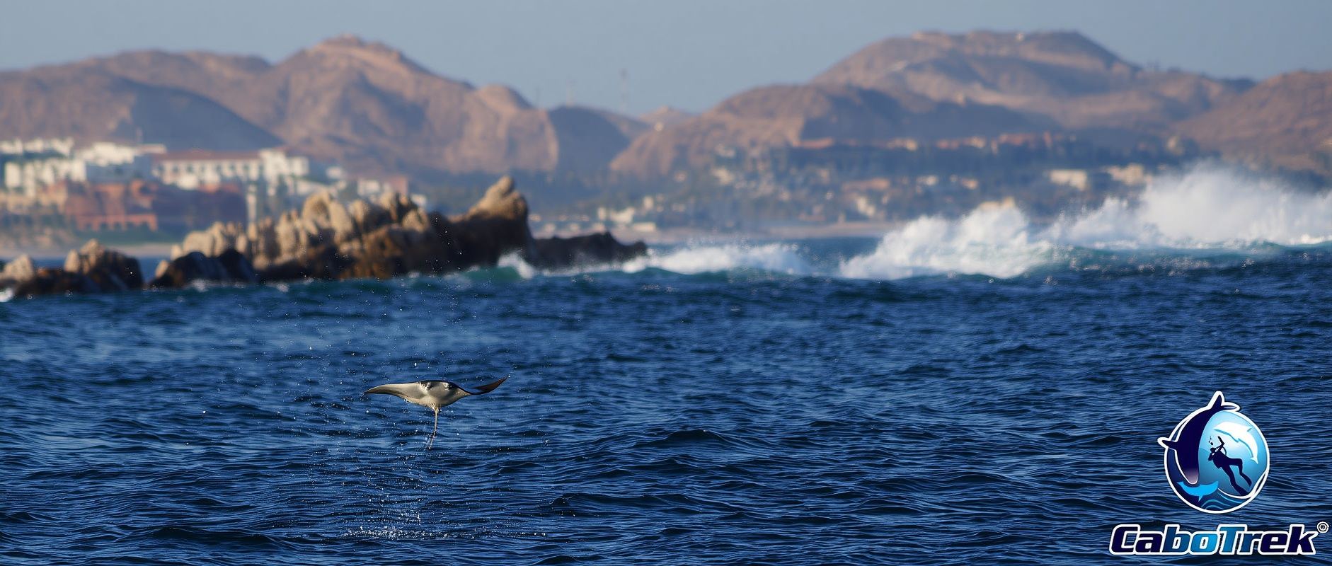 Tour de snorkel privado y compartido en Cabo San Lucas
