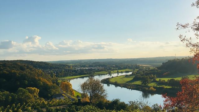 Dresden: Bootsfahrt mit Weinverkostung und Snacks