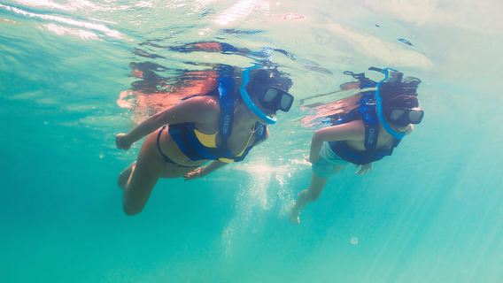 OTA YAL-KÚ Park Admission