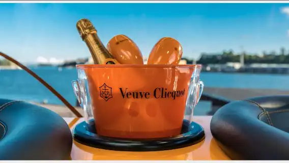 SkyWheel Helsinki: Entry Ticket