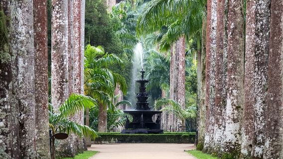 เหมาทัวร์อัสวานไปสวนพฤกษศาสตร์พร้อมล่องเรือเฟลุกก้าในแม่น้ำไนล์