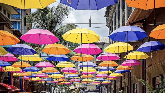 однодневный тур по Маврикию с посещением Порт-Луи, Ботанического сада Памплемус и Notre Dame Auxiliatrice