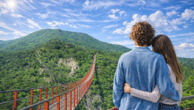 Full Day DMZ Tour with Red Susp.Bridge & North Korea Museum