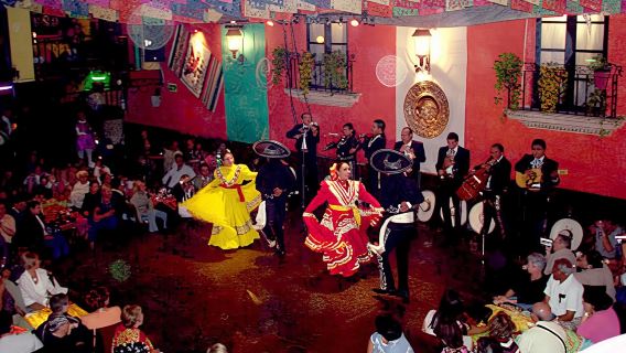 Garibaldi di Notte con Cena al Bellini
