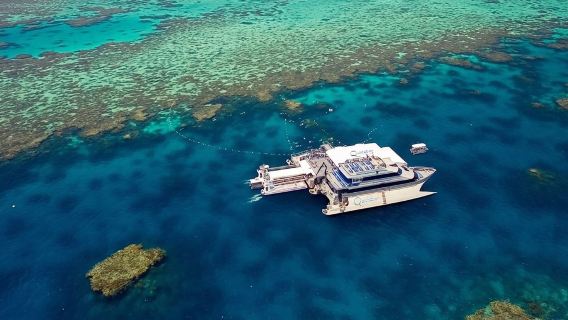 Quicksilver Outer Barrier Reef Cruise from Port Douglas Marina