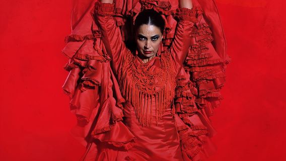 La Experiencia Premium en el Teatro Flamenco Madrid