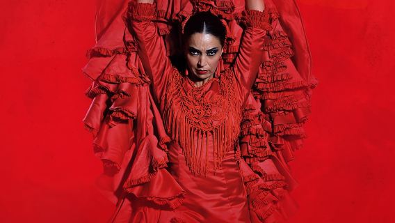 La Experiencia Premium en el Teatro Flamenco Madrid