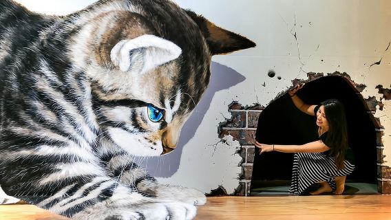 Art in Paradise: Chiang Mai 3D Art Museum Experience