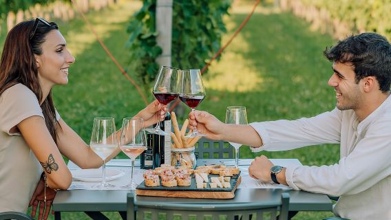 Wine and Food Tasting in the Vineyards in Lazise