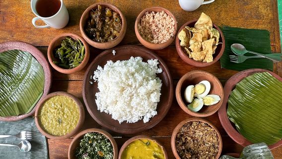 Organic cooking class sigiriya (kumara & family)