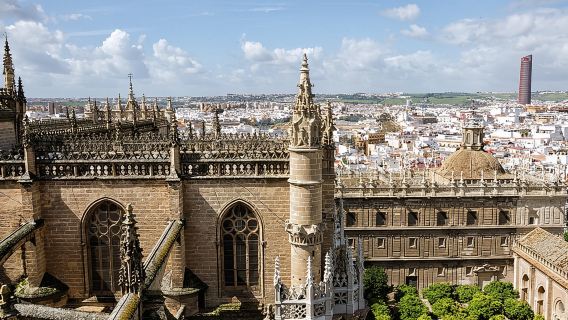 Seville Cathedral and Giralda Half-Day Tour|Including admission ticket+ professional guide buided commentary