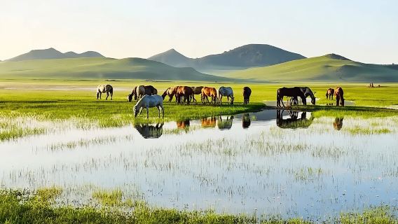 達茂旗日遊